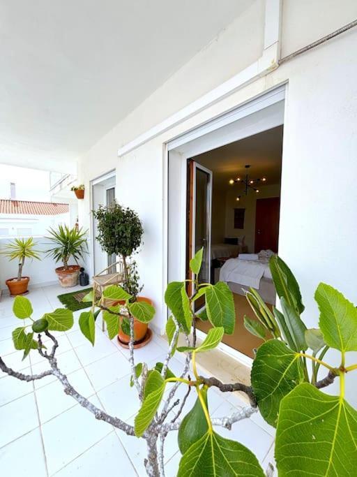 Nazare Boutique W Sea View And Private Rooftop Terace المظهر الخارجي الصورة